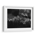 Cactus respingando | Cuadro decorativo de Canvas Lab