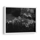 Cactus respingando | Cuadro decorativo de Canvas Lab