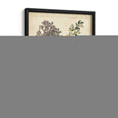 Jardín Encantado No Embellecido Ii - Sydenham Edwards | Cuadro decorativo de Canvas Lab