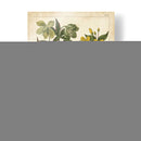 No-Embelllesh Enchanted Garden Iii - Sydenham Edwards | Cuadro decorativo de Canvas Lab