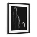 Cactus sobre negro | Cuadro decorativo de Canvas Lab