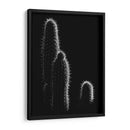 Cactus sobre negro | Cuadro decorativo de Canvas Lab
