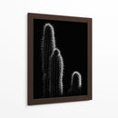 Cactus sobre negro | Cuadro decorativo de Canvas Lab