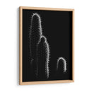 Cactus sobre negro | Cuadro decorativo de Canvas Lab