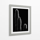 Cactus sobre negro | Cuadro decorativo de Canvas Lab