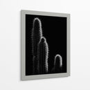 Cactus sobre negro | Cuadro decorativo de Canvas Lab