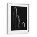 Cactus sobre negro | Cuadro decorativo de Canvas Lab