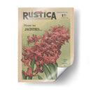 Plantez Des Jacinthes | Cuadro decorativo de Canvas Lab