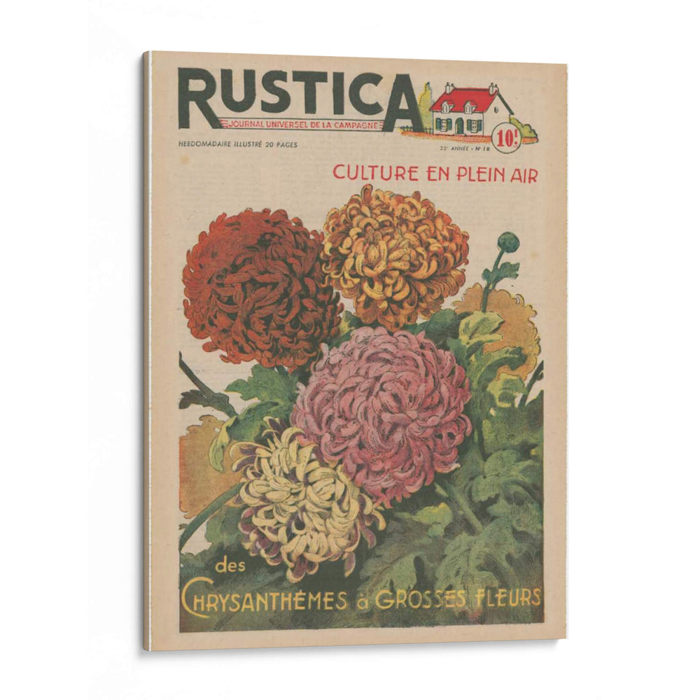 Plantez Des Crissanthemes | Cuadro decorativo de Canvas Lab