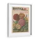 Plantez Des Crissanthemes | Cuadro decorativo de Canvas Lab