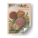 Plantez Des Crissanthemes | Cuadro decorativo de Canvas Lab