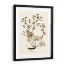 Estudio De La Naturaleza Sepia I - Vision Studio | Cuadro decorativo de Canvas Lab