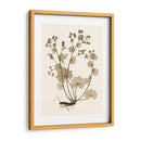 Estudio De La Naturaleza Sepia I - Vision Studio | Cuadro decorativo de Canvas Lab