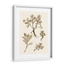 Sepia Nature Study Ii - Vision Studio | Cuadro decorativo de Canvas Lab