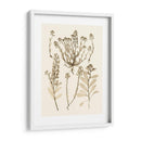 Sepia Nature Study Iii - Vision Studio | Cuadro decorativo de Canvas Lab