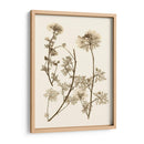 Sepia Nature Study Iv - Vision Studio | Cuadro decorativo de Canvas Lab