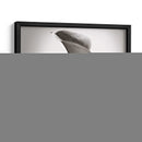 Calla Lily Studies Ii - James McLoughlin | Cuadro decorativo de Canvas Lab