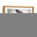 Calla Lily Studies Ii - James McLoughlin | Cuadro decorativo de Canvas Lab