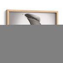 Calla Lily Studies Ii - James McLoughlin | Cuadro decorativo de Canvas Lab