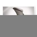 Calla Lily Studies Ii - James McLoughlin | Cuadro decorativo de Canvas Lab