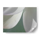 Detalle De Loto I - Jim Christensen | Cuadro decorativo de Canvas Lab