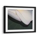 Lotus Detalle Ii - Jim Christensen | Cuadro decorativo de Canvas Lab