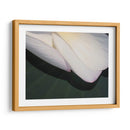 Lotus Detalle Ii - Jim Christensen | Cuadro decorativo de Canvas Lab