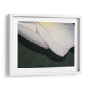 Lotus Detalle Ii - Jim Christensen | Cuadro decorativo de Canvas Lab