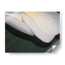 Lotus Detalle Ii - Jim Christensen | Cuadro decorativo de Canvas Lab