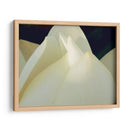 Lotus Detalle Iii - Jim Christensen | Cuadro decorativo de Canvas Lab