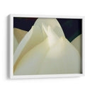 Lotus Detalle Iii - Jim Christensen | Cuadro decorativo de Canvas Lab