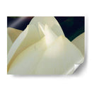 Lotus Detalle Iii - Jim Christensen | Cuadro decorativo de Canvas Lab