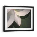 Detalle De Loto Iv - Jim Christensen | Cuadro decorativo de Canvas Lab