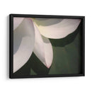 Detalle De Loto Iv - Jim Christensen | Cuadro decorativo de Canvas Lab