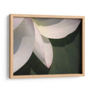 Detalle De Loto Iv - Jim Christensen | Cuadro decorativo de Canvas Lab