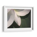 Detalle De Loto Iv - Jim Christensen | Cuadro decorativo de Canvas Lab