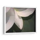 Detalle De Loto Iv - Jim Christensen | Cuadro decorativo de Canvas Lab