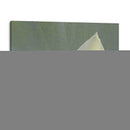 Lotus Detalle Vi - Jim Christensen | Cuadro decorativo de Canvas Lab