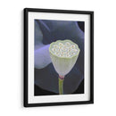 Detalle De Loto Ix - Jim Christensen | Cuadro decorativo de Canvas Lab