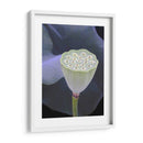 Detalle De Loto Ix - Jim Christensen | Cuadro decorativo de Canvas Lab