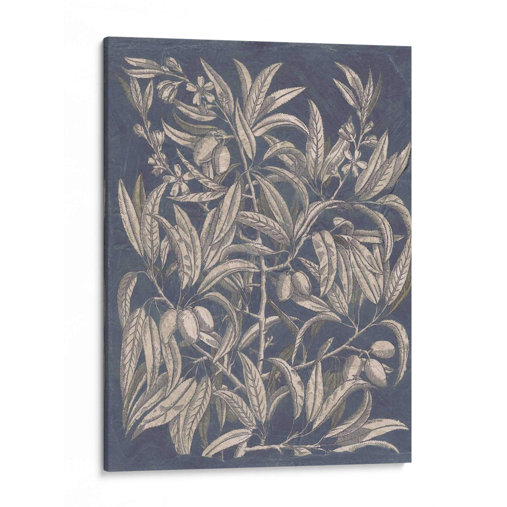 Fruta Vintage Y Floral I - Megan Meagher | Cuadro decorativo de Canvas Lab