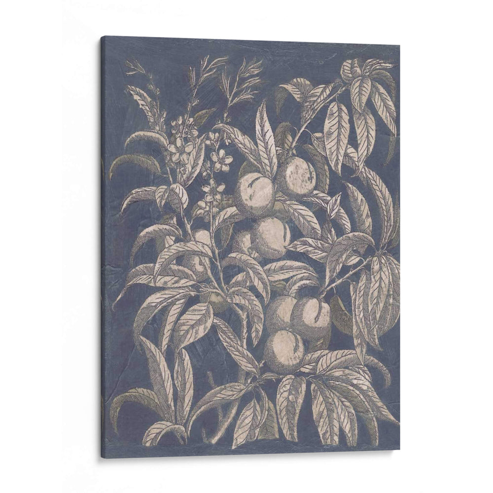 Vintage Fruta Y Floral Ii - Megan Meagher | Cuadro decorativo de Canvas Lab