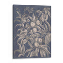 Vintage Fruta Y Floral Ii - Megan Meagher | Cuadro decorativo de Canvas Lab