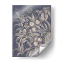 Vintage Fruta Y Floral Ii - Megan Meagher | Cuadro decorativo de Canvas Lab