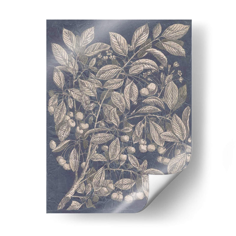 Fruta De La Vendimia Y Floral Iii - Megan Meagher | Cuadro decorativo de Canvas Lab