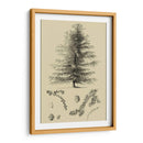 Estudio De Arbor Vi - Vision Studio | Cuadro decorativo de Canvas Lab