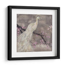 Serenidad De Pavo Real I - Jennifer Goldberger | Cuadro decorativo de Canvas Lab