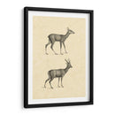 Venado Vintage I - Vision Studio | Cuadro decorativo de Canvas Lab