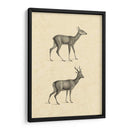 Venado Vintage I - Vision Studio | Cuadro decorativo de Canvas Lab