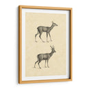 Venado Vintage I - Vision Studio | Cuadro decorativo de Canvas Lab